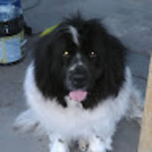 Meet your Posher, Ann